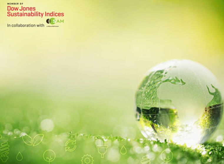 Dow Jones Sustainability Emerging Markets Index 2019
